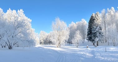 Ski Scotland