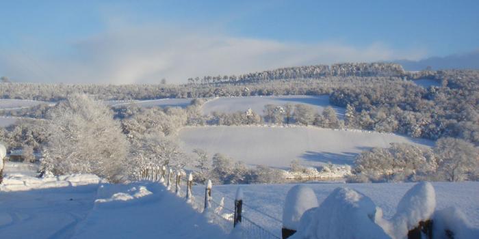 Wintry showers and what counts for White Christmas observations?