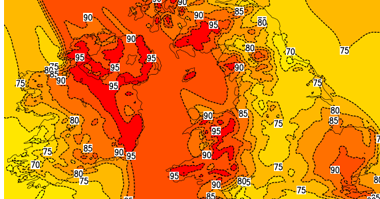 NetWx Model