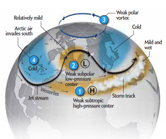 What is the Polar Vortex